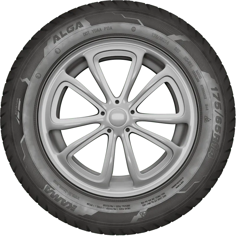 KAMA ALGA (НК-531) нешип в Хвалынске — KAMA TYRES KAMA ALGA (НК-531) нешип в Хвалынске